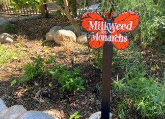 Girl Scout Troop Creates a Monarch Waystation at the Community Garden
