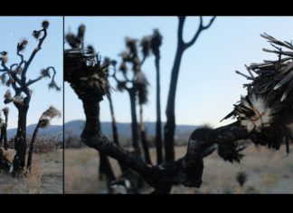SPARC Gallery | South Pasadena Council PTA Art Reflections Exhibition