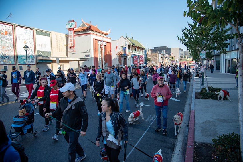 | The South Pasadenan | South Pasadena News Firecracker-LA-pawer-dog-walk