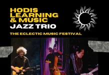 Hodis Learning & Music jazz trio at the eclectic music festival