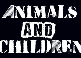 Animals and Children | Los Angeles Punk Rock