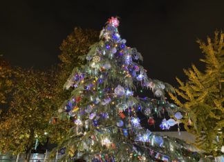 Festive Tree and Menorah Lighting Ceremony Kicks Off The Holiday Season