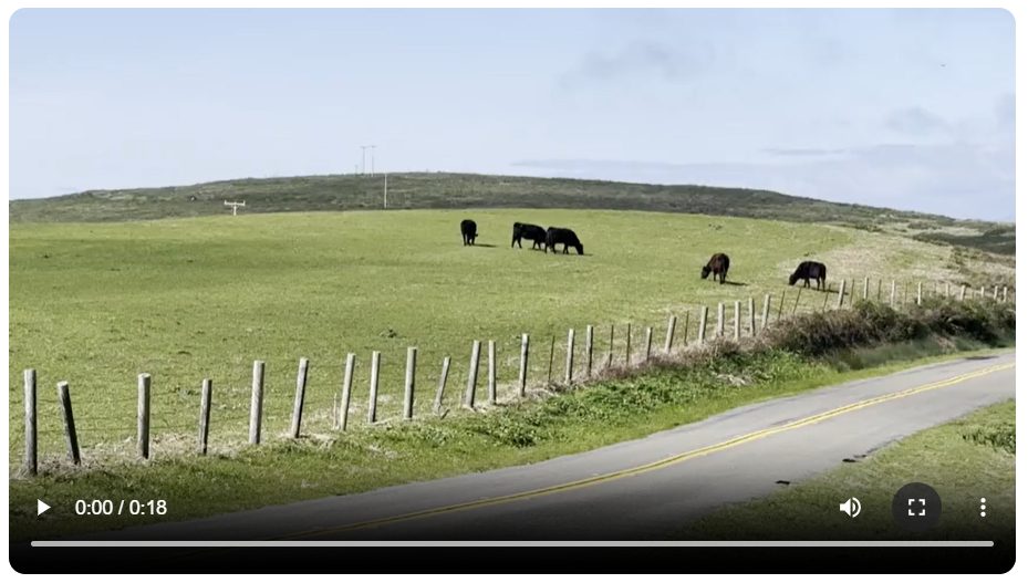 | The South Pasadenan | South Pasadena News Chris Bray | ’Tell Me How It Ends’ on Substack | Point Reyes footage