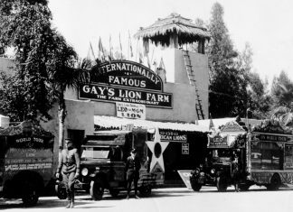 Throwback Thursday | World Famous Lion Farm in El Monte