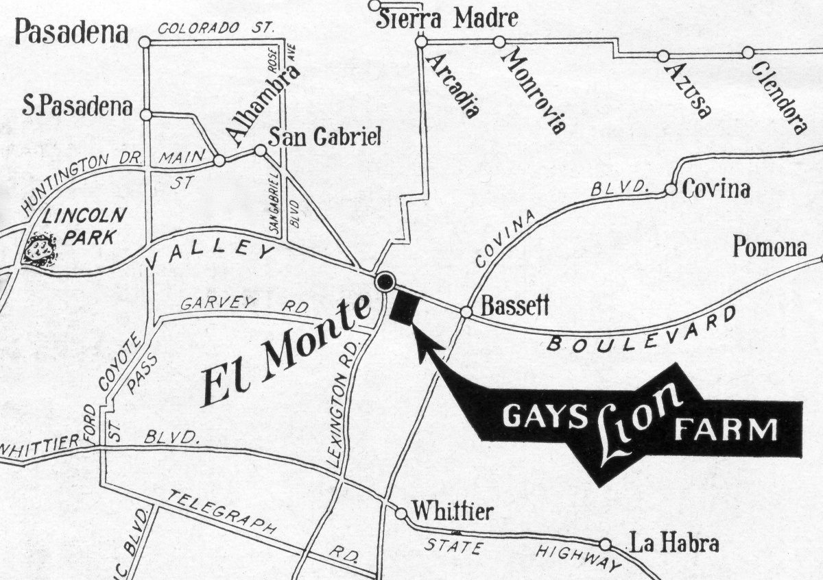 South-Pasadea-News-05-31-18-Throwback-Thursday-Gay's-Lion-Farm-02 | The South Pasadenan | South Pasadena News