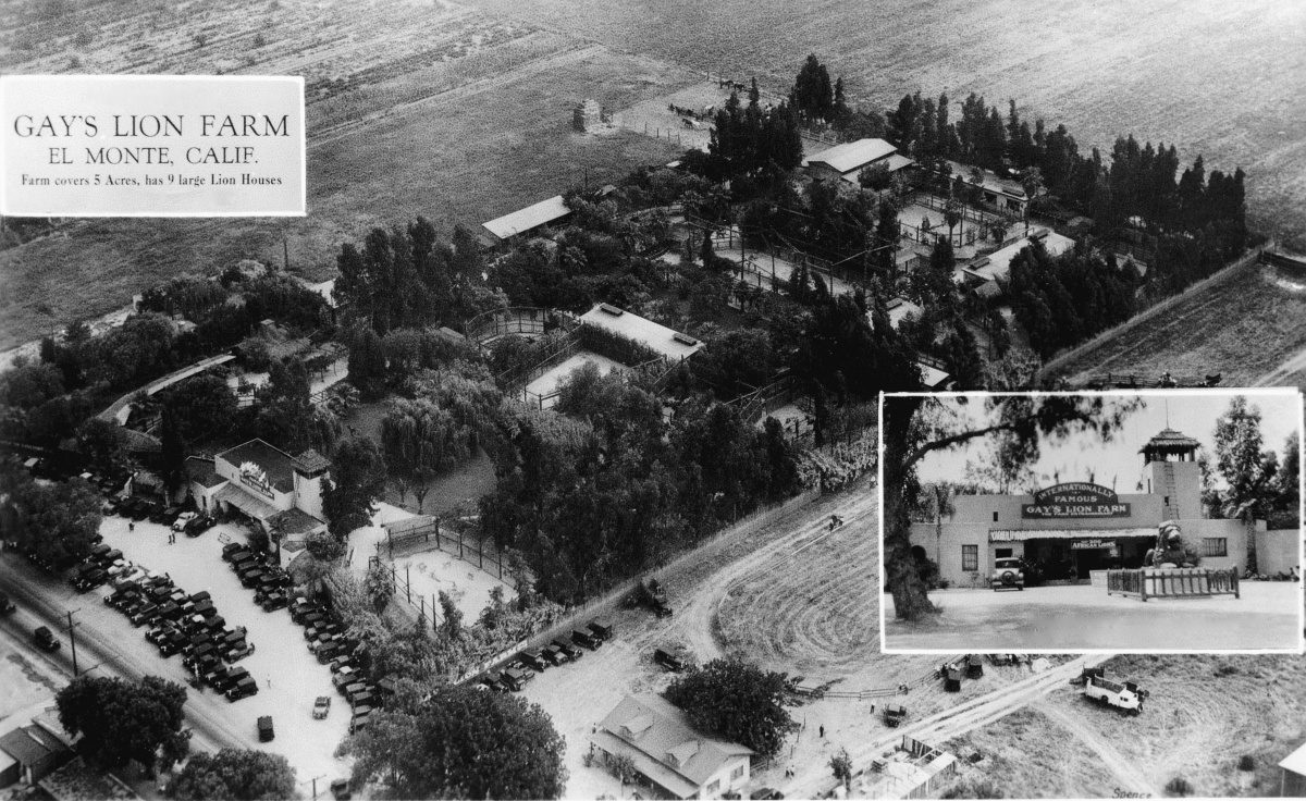 South-Pasadea-News-05-31-18-Throwback-Thursday-Gay's-Lion-Farm-03 | The South Pasadenan | South Pasadena News