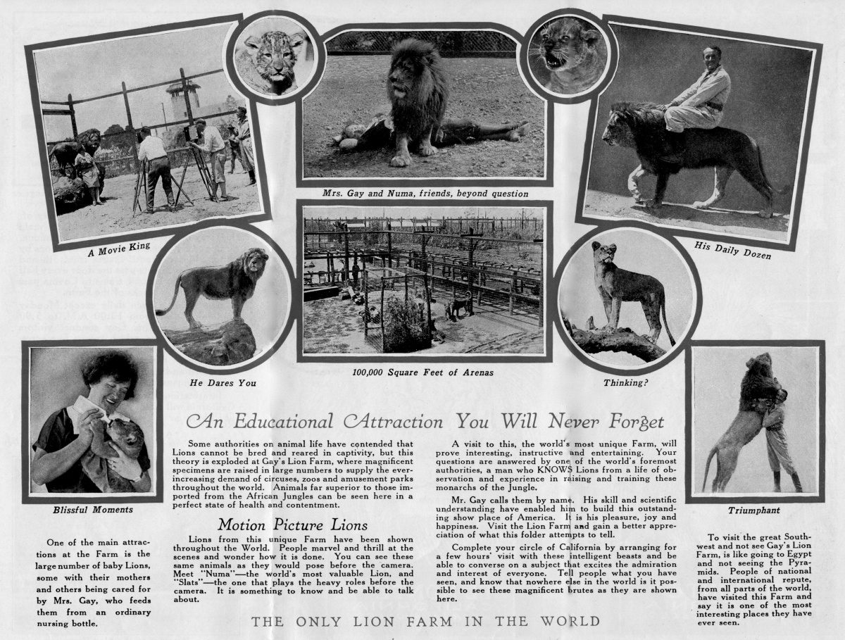 South-Pasadea-News-05-31-18-Throwback-Thursday-Gay's-Lion-Farm-04 | The South Pasadenan | South Pasadena News