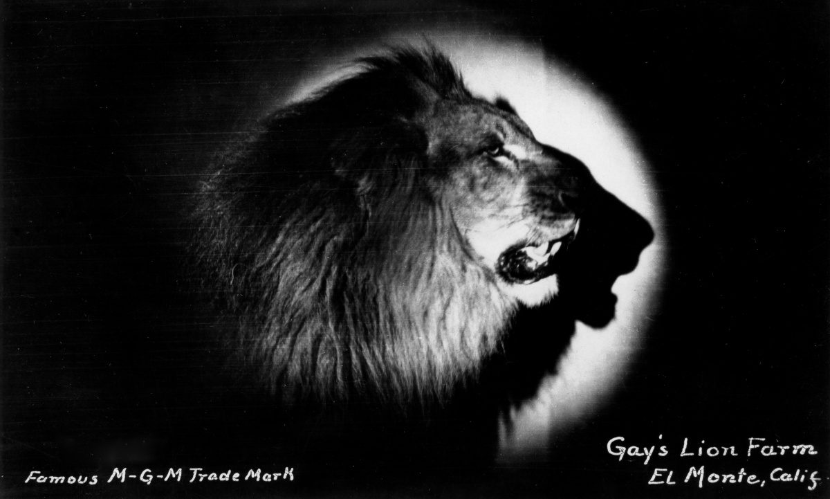 South-Pasadea-News-05-31-18-Throwback-Thursday-Gay's-Lion-Farm-08 | The South Pasadenan | South Pasadena News
