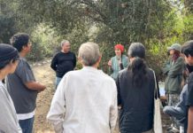 Free Micro-Forest Workshop Set for Jan. 17 at South Pasadena Nature Park PHOTO: Friends of South Pasadena Nature Park | The South Pasadenan | Free Micro-Forest Workshop Set for Jan. 17 at Arroyo Seco Park