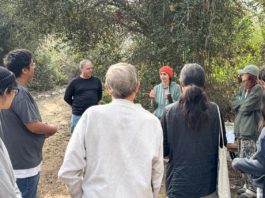 PHOTO: Friends of South Pasadena Nature Park | The South Pasadenan | Free Micro-Forest Workshop Set for Jan. 17 at Arroyo Seco Park