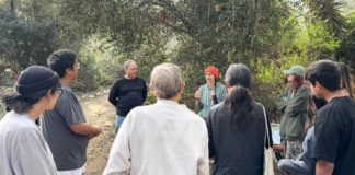 PHOTO: Friends of South Pasadena Nature Park | The South Pasadenan | Free Micro-Forest Workshop Set for Jan. 17 at Arroyo Seco Park