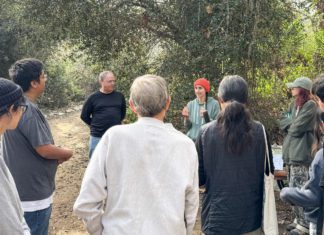 Free Micro-Forest Workshop Set for Jan. 17 at South Pasadena Nature Park PHOTO: Friends of South Pasadena Nature Park | The South Pasadenan | Free Micro-Forest Workshop Set for Jan. 17 at Arroyo Seco Park