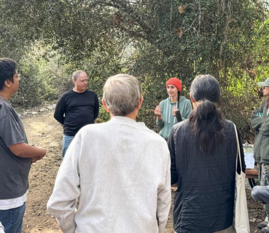 PHOTO: Friends of South Pasadena Nature Park | The South Pasadenan | Free Micro-Forest Workshop Set for Jan. 17 at Arroyo Seco Park
