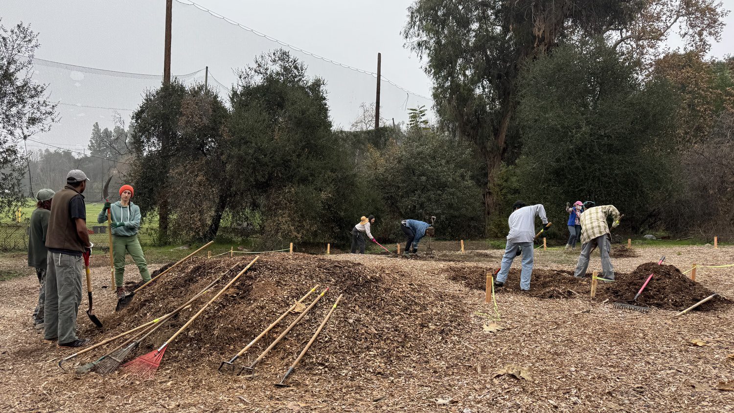 | The South Pasadenan | South Pasadena News PHOTO: Friends of South Pasadena Nature Park | The South Pasadenan | Free Micro-Forest Workshop Set for Jan. 17 at Arroyo Seco Park