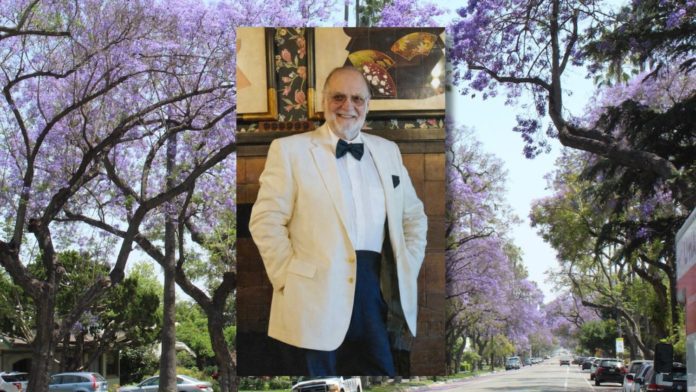 Joseph “Joe” Roger Edward Daigle | 1939 ~ 2025