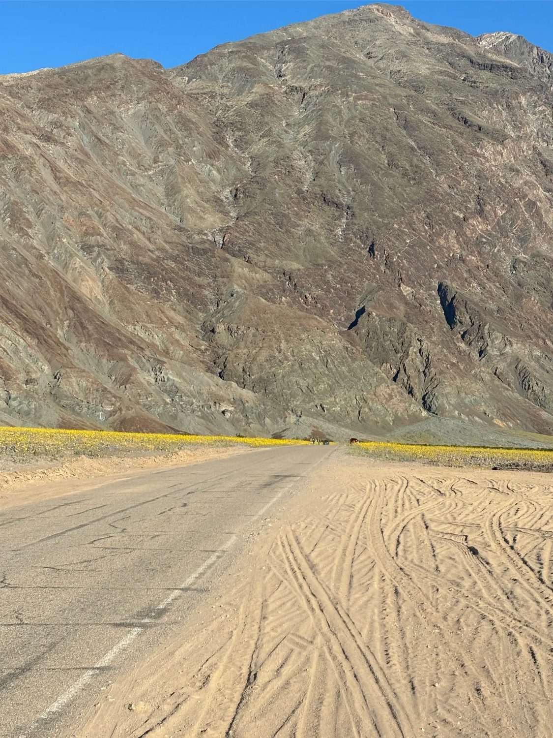 PHOTO: Chris Bray | The South Pasadenan | Into the Desert