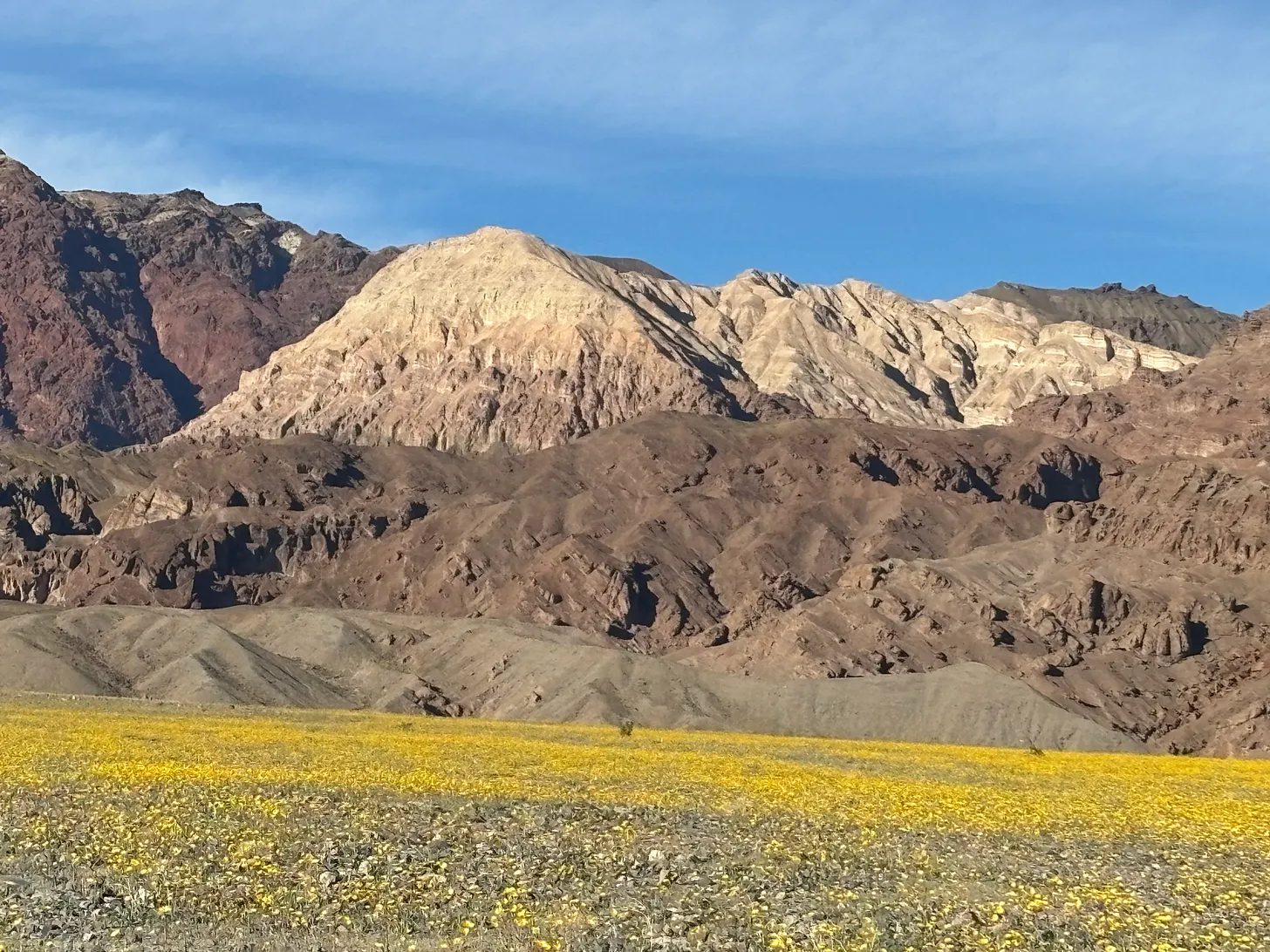 PHOTO: Chris Bray | The South Pasadenan | Into the Desert