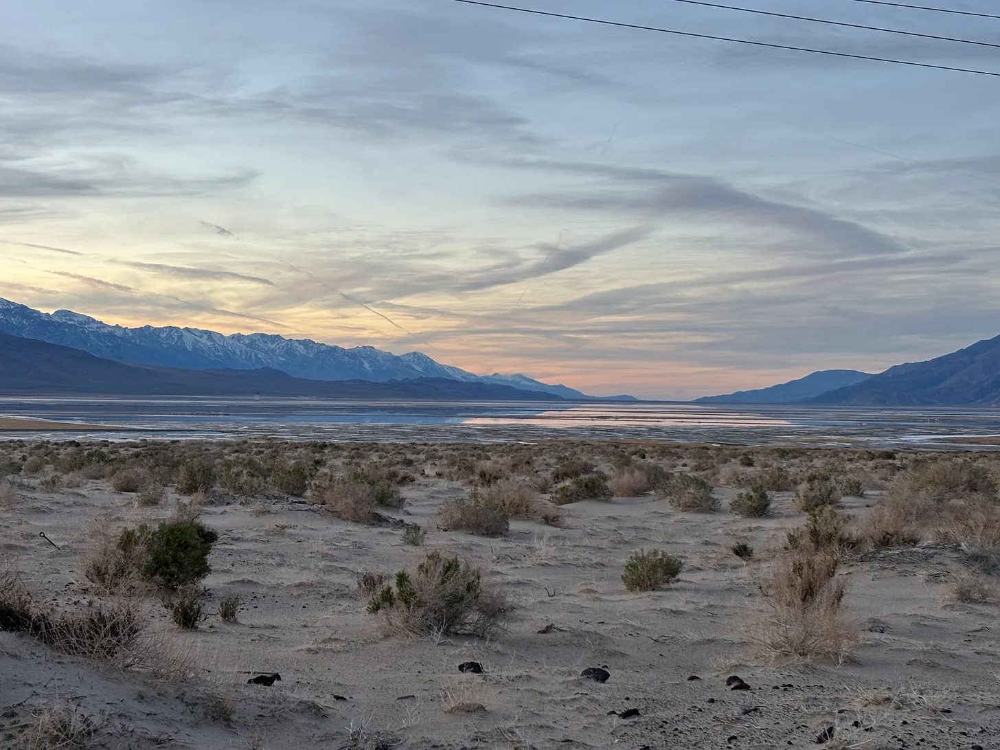 PHOTO: Chris Bray | The South Pasadenan | Into the Desert