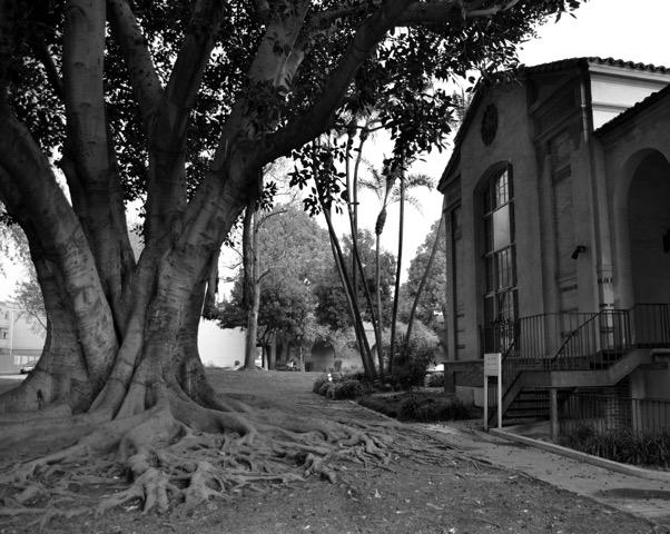 | The South Pasadenan | South Pasadena News