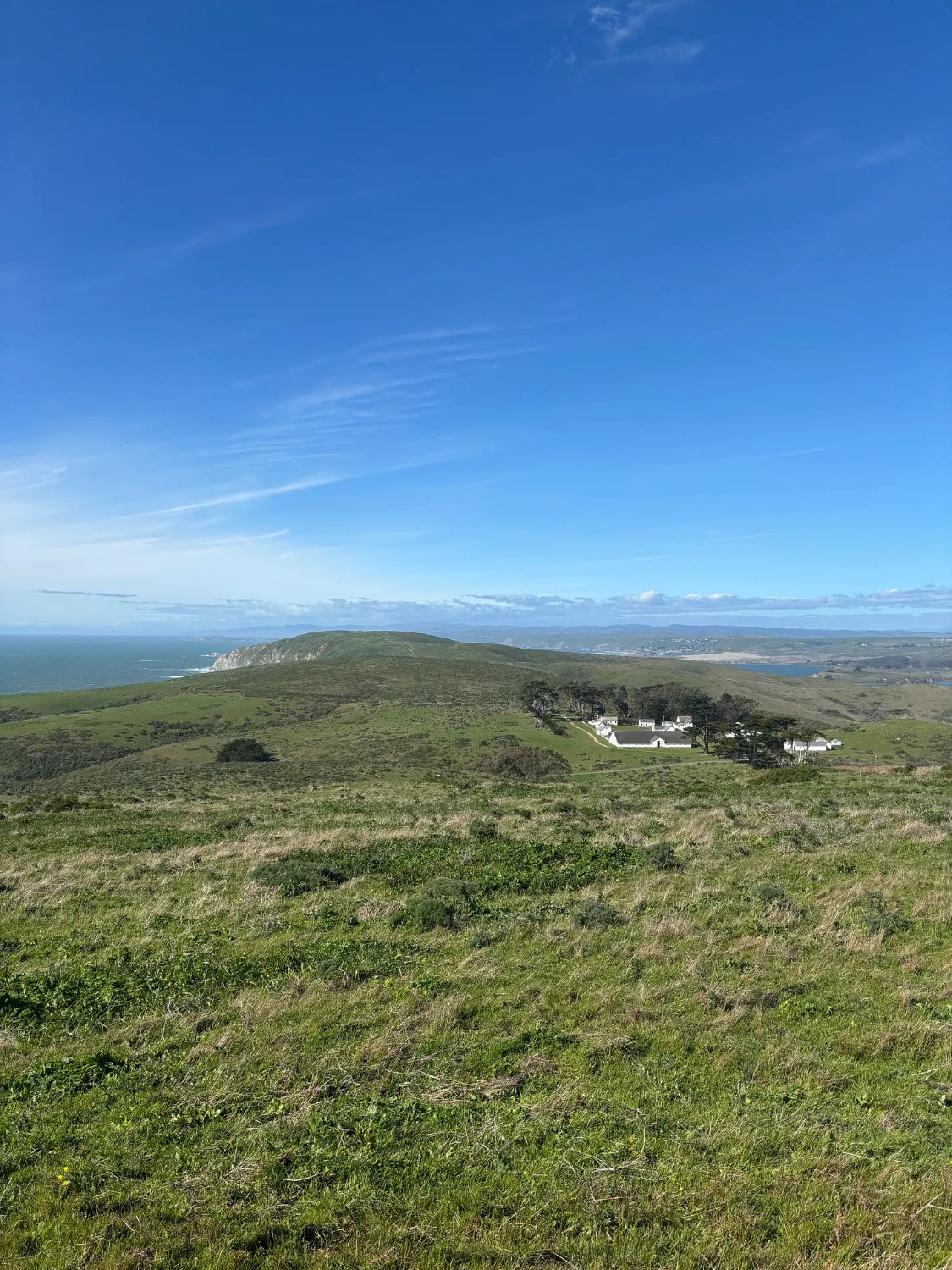 | The South Pasadenan | South Pasadena News Chris Bray | ’Tell Me How This Ends’ on Substack | Tomales Point, at the northern end of Point Reyes National Seashore, with a long-closed historic ranch that now has historical exhibits and NPS staff housing