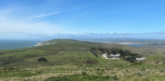 Chris Bray | ’Tell Me How This Ends’ on Substack | Tomales Point, at the northern end of Point Reyes National Seashore, with a long-closed historic ranch that now has historical exhibits and NPS staff housing