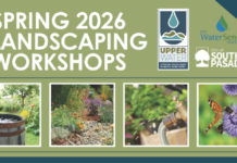Green Living | Free Spring 2026 Landscaping Workshops for Residents PHOTO: City of South Pasadena | The South Pasadenan | Free Spring 2026 Landscaping Workshops for Residents