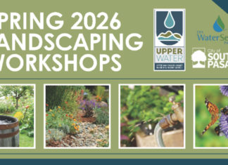 Green Living | Free Spring 2026 Landscaping Workshops for Residents PHOTO: City of South Pasadena | The South Pasadenan | Free Spring 2026 Landscaping Workshops for Residents