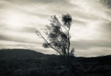 SPHS Senior Taidi Yue’s “Untitled” image (above) won 1st Place/Best in Show and earned him a $10,000 scholarship in the Ericson Foundation Photography Competition. (Photo Courtesy of Taidi Yue)