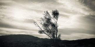 SPHS Senior Taidi Yue’s “Untitled” image (above) won 1st Place/Best in Show and earned him a $10,000 scholarship in the Ericson Foundation Photography Competition. (Photo Courtesy of Taidi Yue)
