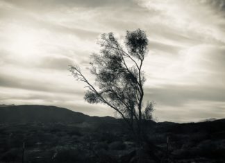 SPUSD Snapshot | SPHS Students Sweep Best In Show Awards at Photographic Art Competition SPHS Senior Taidi Yue’s “Untitled” image (above) won 1st Place/Best in Show and earned him a $10,000 scholarship in the Ericson Foundation Photography Competition. (Photo Courtesy of Taidi Yue)