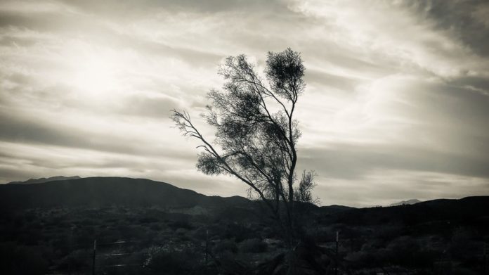 SPHS Senior Taidi Yue’s “Untitled” image (above) won 1st Place/Best in Show and earned him a $10,000 scholarship in the Ericson Foundation Photography Competition. (Photo Courtesy of Taidi Yue)