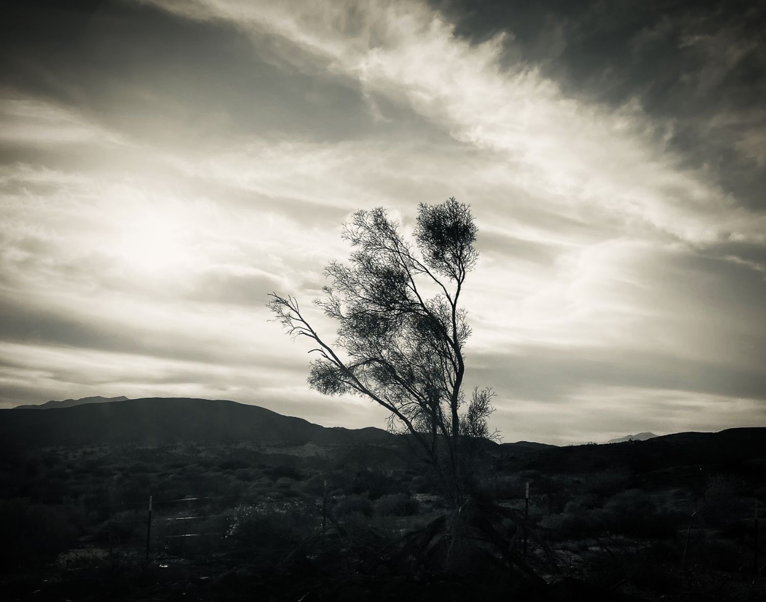 SPHS Senior Taidi Yue’s “Untitled” image (above) won 1st Place/Best in Show and earned him a ,000 scholarship in the Ericson Foundation Photography Competition. (Photo Courtesy of Taidi Yue)