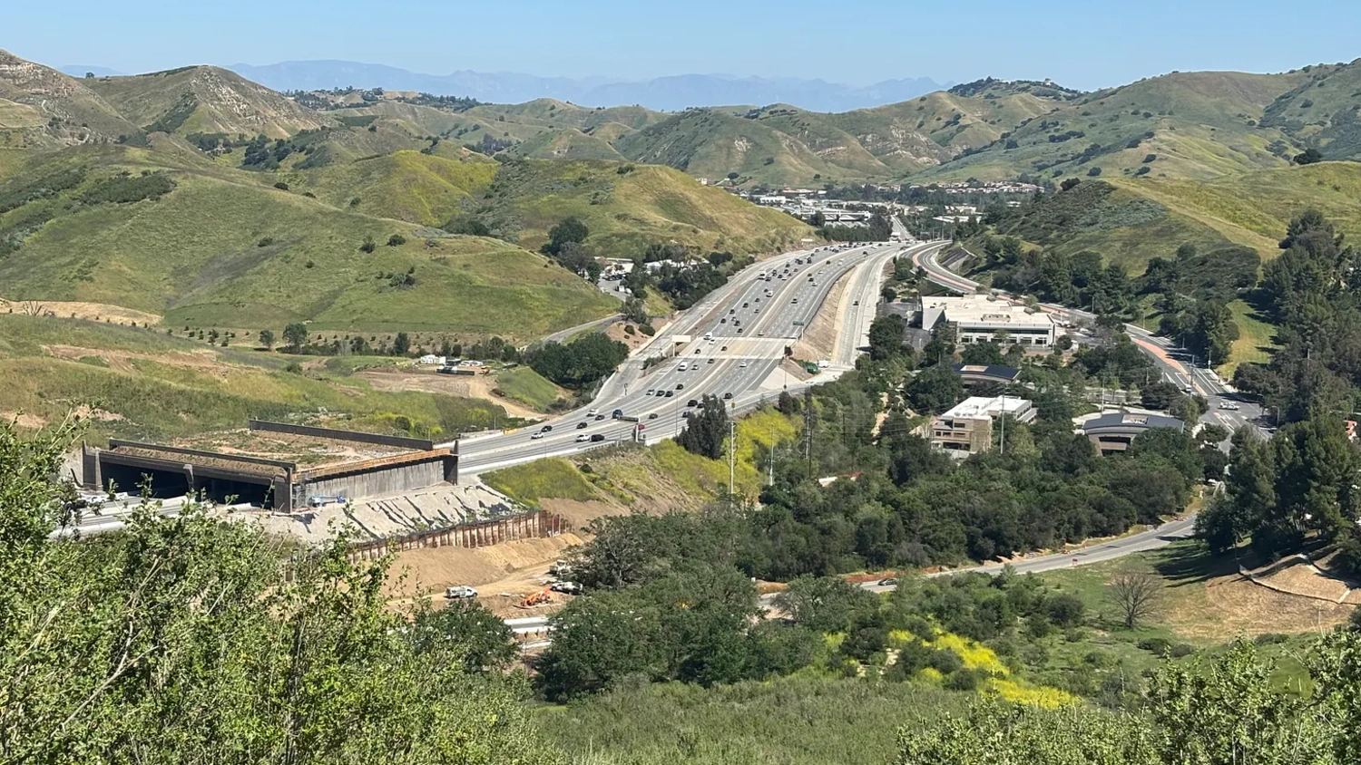 | The South Pasadenan | South Pasadena News PHOTO :Chris Bray | The South Pasadenan | Kitty Takes a 4 Million Walk Into Your Yard