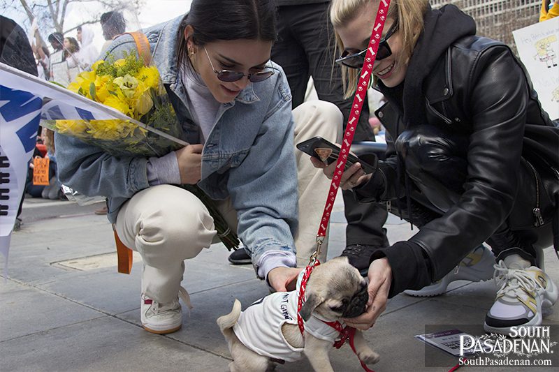 South-Pasadena-News-03-24-18-March-for-Our-Lives-05 | The South Pasadenan | South Pasadena News