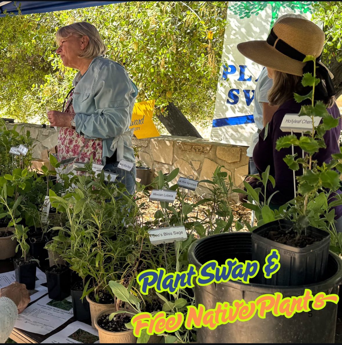 South-Pasadena-News-03-25-2025-Sustainability-Fair-03 | The South Pasadenan | South Pasadena News