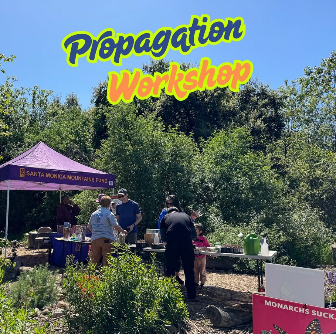| The South Pasadenan | South Pasadena News Sustainability Fair this Saturday, March 29, 1-4 PM | Propagation Workshop