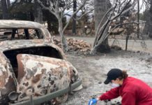 LA County Launches Free Soil Lead Testing Program for Residents Near Eaton Fire Burn Area PHOTO: USC Department of Earth Sciences and Public Exchange | The South Pasadenan | Soil collection