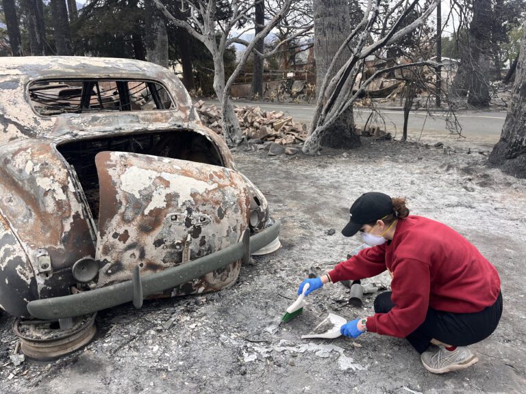 | The South Pasadenan | South Pasadena News Collection of soil for testing