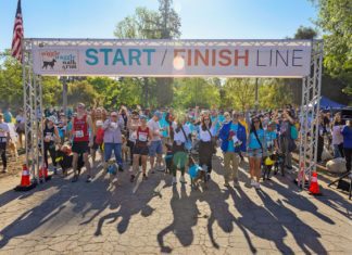 Wiggle Waggle Walk & Run 2025 Celebrated Community and Animal Welfare on April 6 Wiggle Waggle Walk & Run Celebrated Community and Animal Welfare on April 6