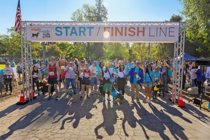 Wiggle Waggle Walk & Run Celebrated Community and Animal Welfare on April 6