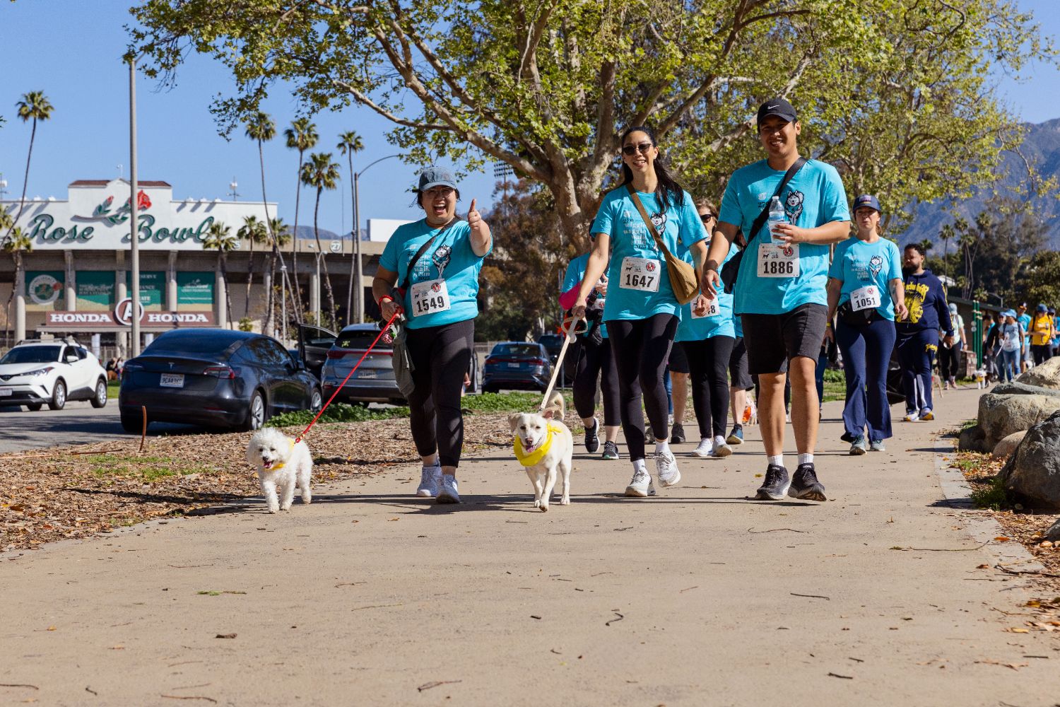 | The South Pasadenan | South Pasadena News Wiggle Waggle Walk & Run 2025