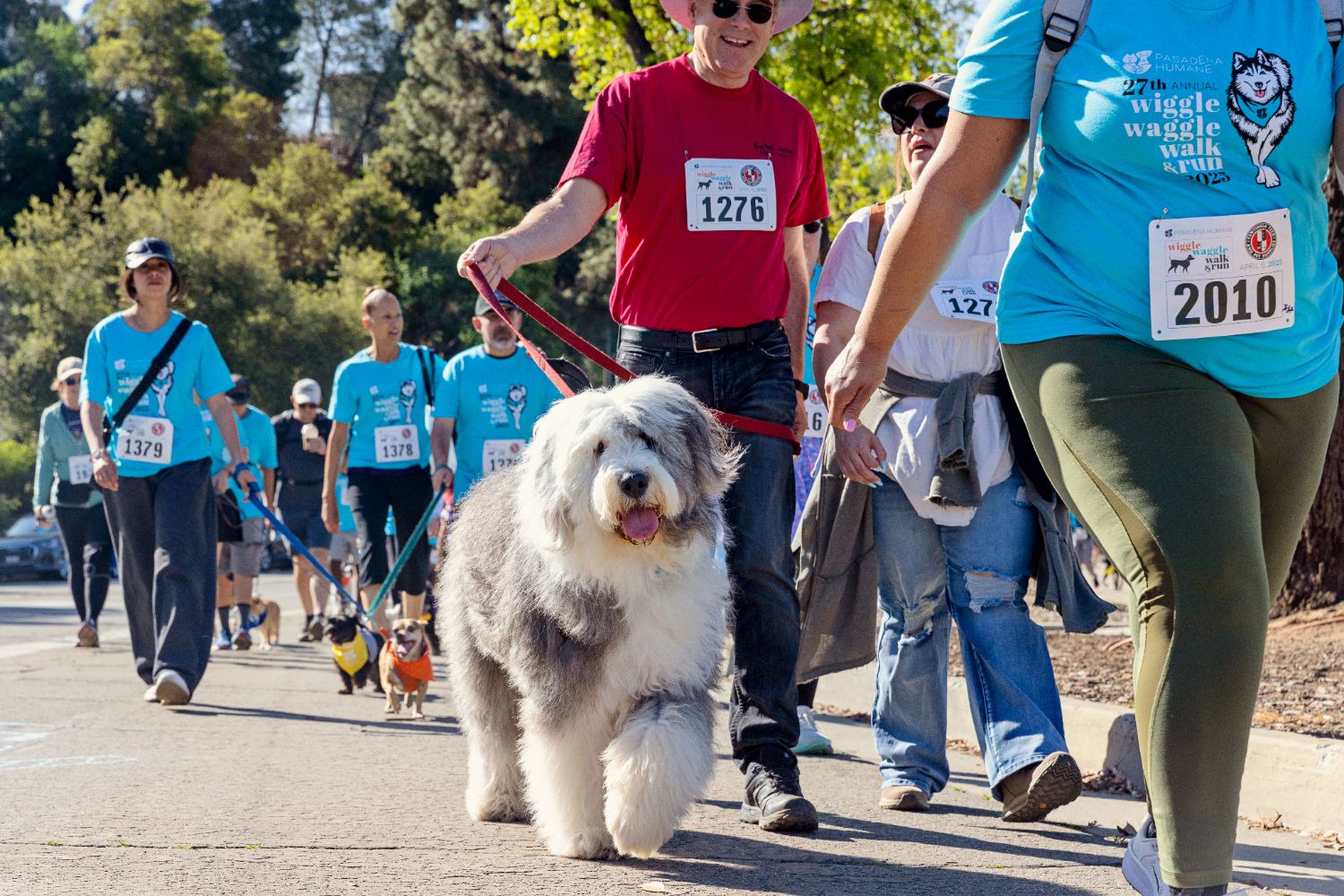 | The South Pasadenan | South Pasadena News Wiggle Waggle Walk & Run 2025