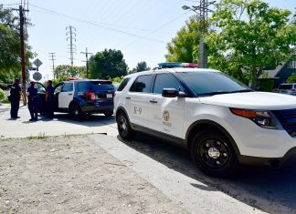 BREAKING NEWS: LAPD Pursuit & Search for Suspect on South Pasadena Border