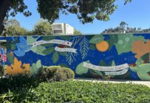Arroyo Vista Elementary Gives Back: Community Replants School Garden Damaged by Eaton Fire PHOTO: Arroyo Vista PTA | The South Pasadenan