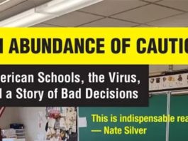 An Abundance of Caution, a book by David Zweig