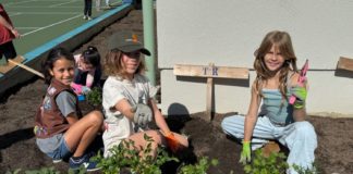 PHOTO: Emily Blaney | The South Pasadena | SPUSD | Arroyo Vista students replant the community garden on campus