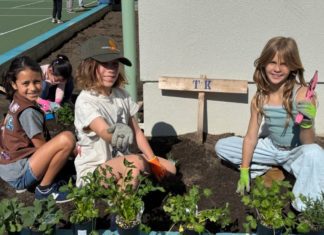 SPUSD Snapshot | Arroyo Vista Students and Families Work Together to Improve Campus Garden PHOTO: Emily Blaney | The South Pasadena | SPUSD | Arroyo Vista students replant the community garden on campus