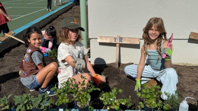 PHOTO: Emily Blaney | The South Pasadena | SPUSD | Arroyo Vista students replant the community garden on campus