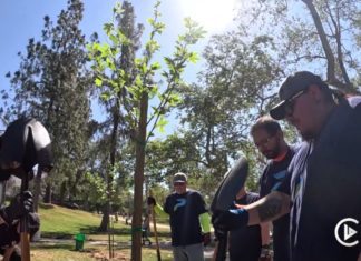 Loma Alta Park to Reopen in May 17 After Volunteer-Led Restoration Effort PHOTO: LA County Channel | The South Pasadenan | Loma Alta Park will reopen in May and once again serve the residents of Altadena