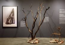PHOTO: ArtCenter | The South Pasadenan | ArtCenter’s Spring 2025 Grad Show to Feature Poignant Installation–Resilience in the Ashes